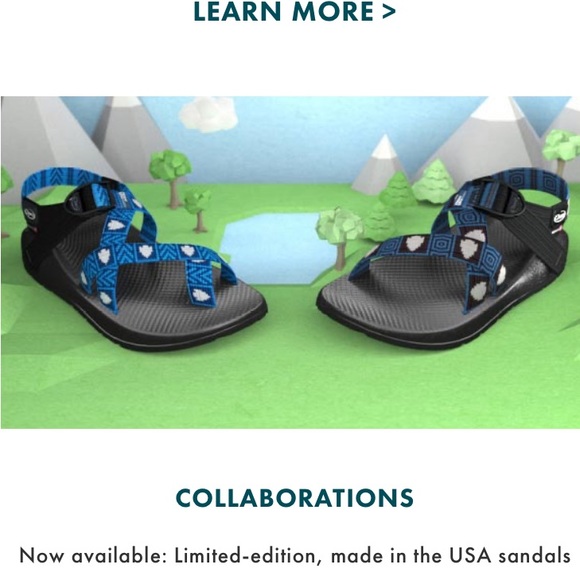 ISO National Park Foundation chacos size 10 - Picture 3 of 3